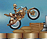 Steampunk Rally